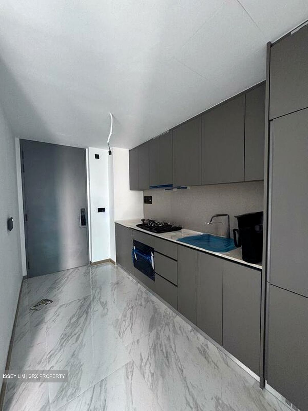 The Landmark (D3), Condominium #514503521